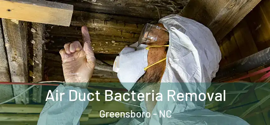 Air Duct Bacteria Removal Greensboro - NC