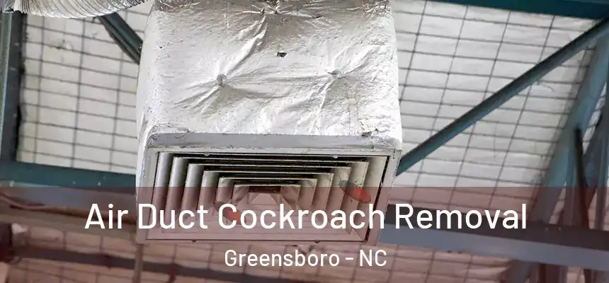 Air Duct Cockroach Removal Greensboro - NC