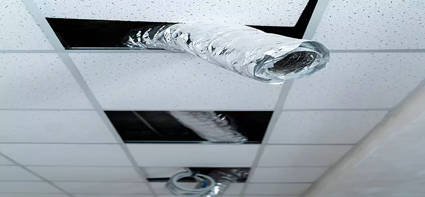 Our Air Duct Pet Hair Removal Services in Greensboro, NC