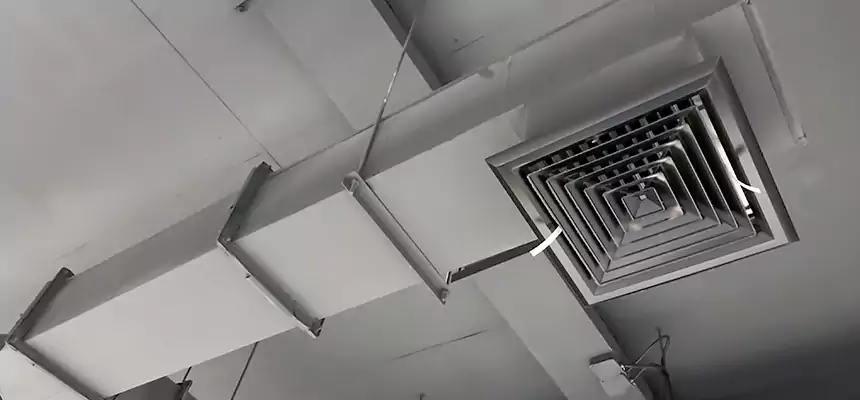 Our Rodent Droppings In Vents Services in Greensboro, NC