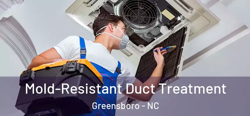  Mold-Resistant Duct Treatment Greensboro - NC