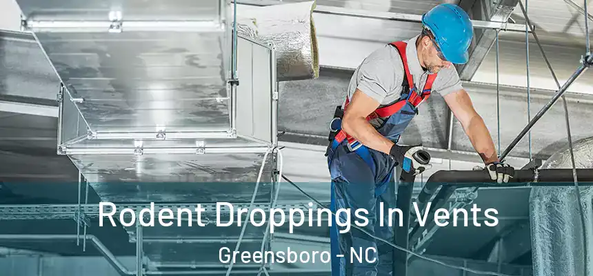  Rodent Droppings In Vents Greensboro - NC