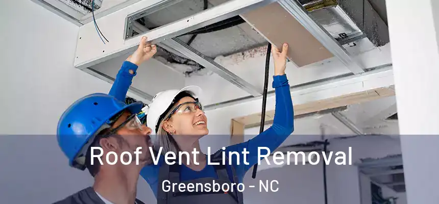  Roof Vent Lint Removal Greensboro - NC