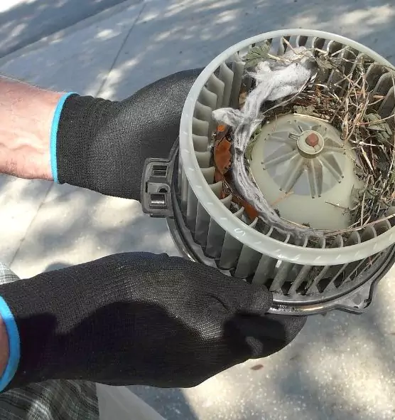 About Air Duct Mice Removal in Greensboro, NC