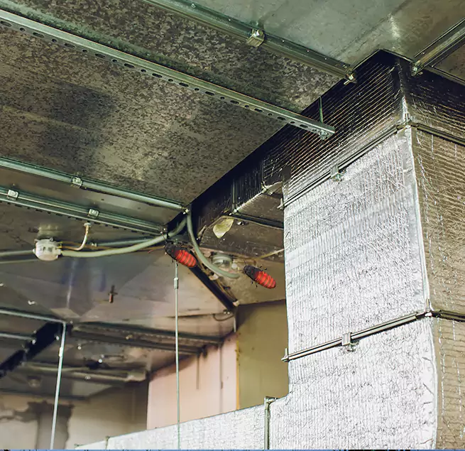 Why Homeowners & Businesses Trust Us in Greensboro, NC?