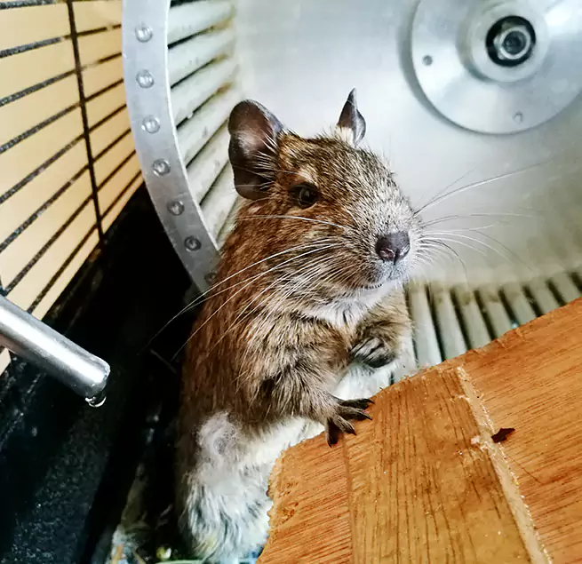 Why Homeowners & Businesses Trust Us Greensboro, NC?