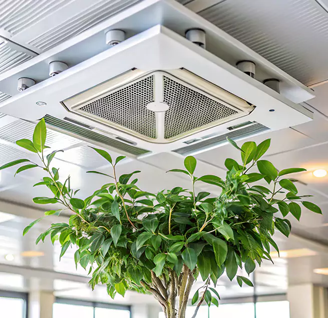 Why Homeowners & Businesses Trust Us in Greensboro, NC?